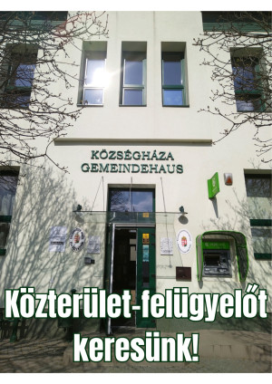 Munkatársat keresünk - közterület-felügyelő munkakörbe