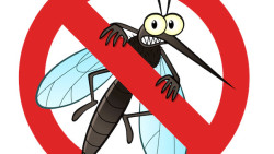 /common/uploads/article/mosquito-1acced57f0.jpeg