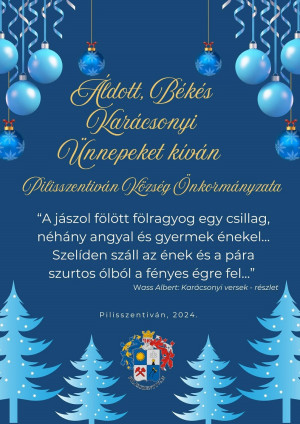 Áldott ünnepeket és boldog új évet kívánunk! 