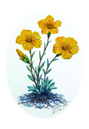 Ki részesülhet a Pilisi Len-díjban 2026-ban?